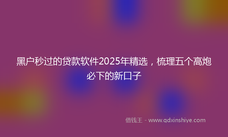 黑户秒过的贷款软件2025年精选，梳理五个高炮必下的新口子
