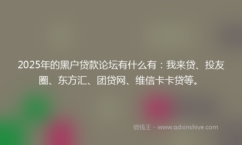 2025年的黑户贷款论坛有什么有：我来贷、投友圈、东方汇、团贷网、维信卡卡贷等。