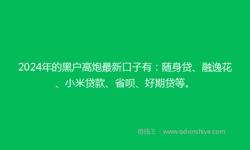 2024年的黑户高炮最新口子有：随身贷、融逸花、小米贷款、省呗、好期贷等。