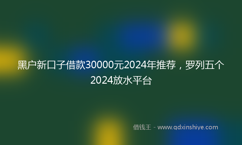 黑户新口子借款30000元2024年推荐，罗列五个2024放水平台