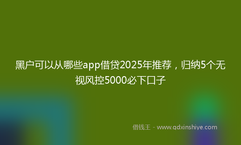 黑户可以从哪些app借贷2025年推荐，归纳5个无视风控5000必下口子