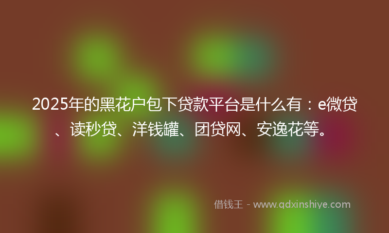 2025年的黑花户包下贷款平台是什么有：e微贷、读秒贷、洋钱罐、团贷网、安逸花等。