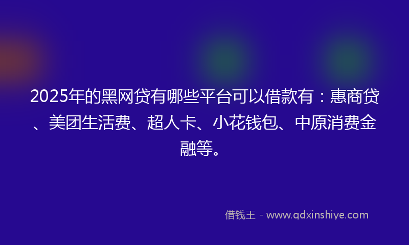 2025年的黑网贷有哪些平台可以借款有：惠商贷、美团生活费、超人卡、小花钱包、中原消费金融等。
