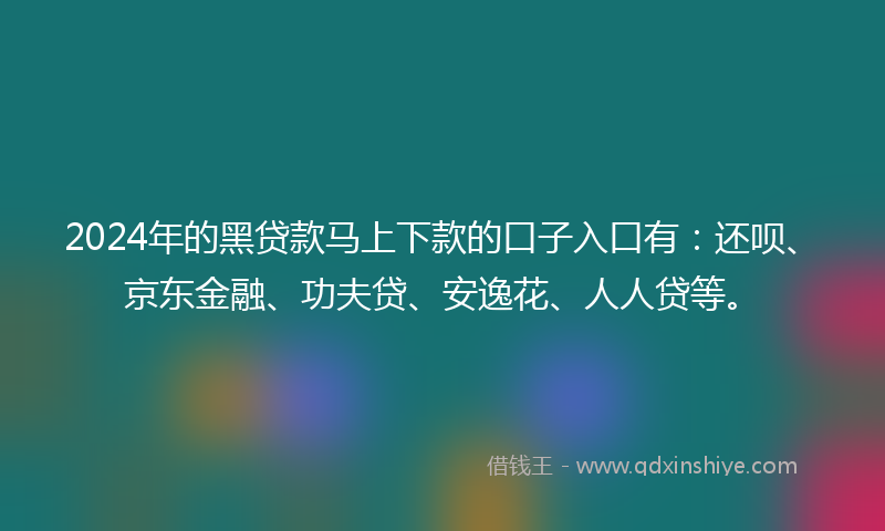 2024年的黑贷款马上下款的口子入口有：还呗、京东金融、功夫贷、安逸花、人人贷等。