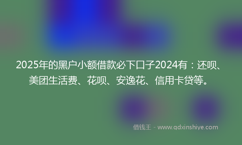 2025年的黑户小额借款必下口子2024有：还呗、美团生活费、花呗、安逸花、信用卡贷等。