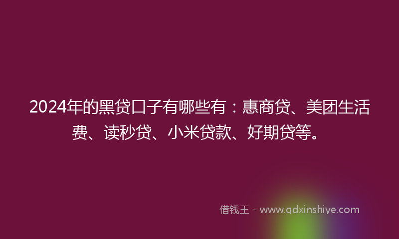 2024年的黑贷口子有哪些有：惠商贷、美团生活费、读秒贷、小米贷款、好期贷等。