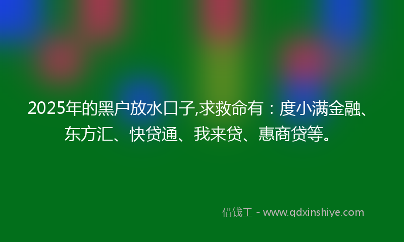 2025年的黑户放水口子,求救命有：度小满金融、东方汇、快贷通、我来贷、惠商贷等。
