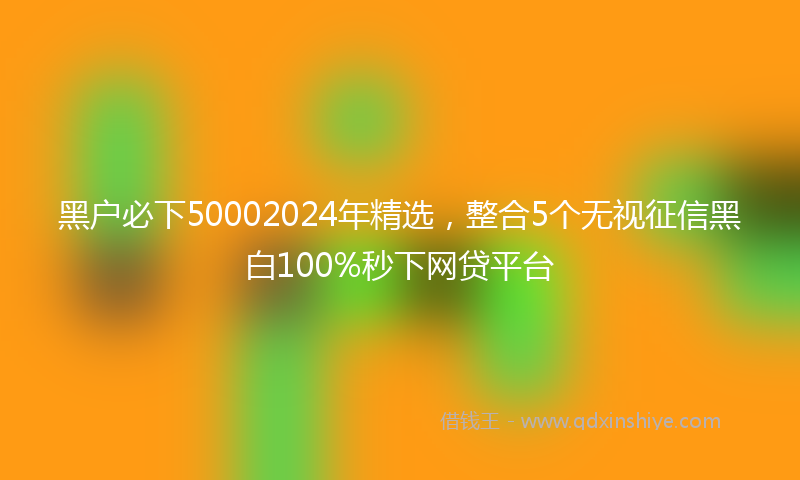 黑户必下50002024年精选，整合5个无视征信黑白100%秒下网贷平台