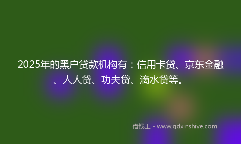 2025年的黑户贷款机构有：信用卡贷、京东金融、人人贷、功夫贷、滴水贷等。