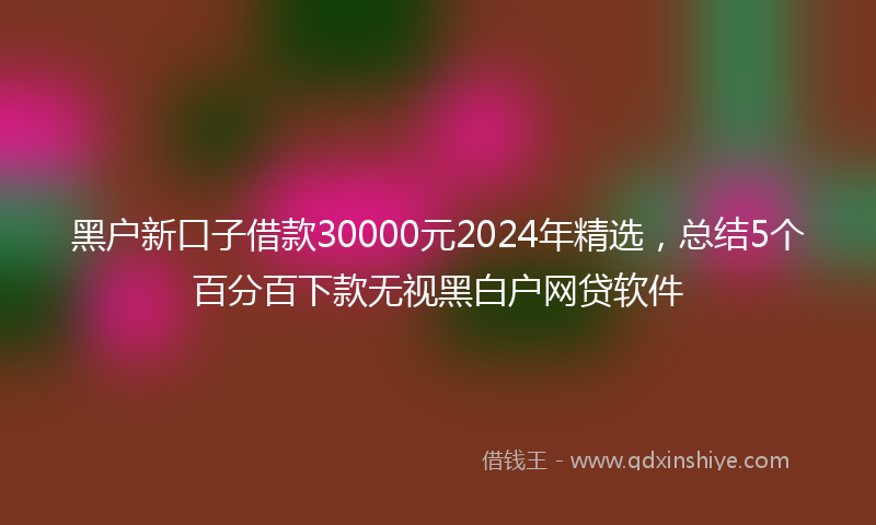 黑户新口子借款30000元2024年精选，总结5个百分百下款无视黑白户网贷软件