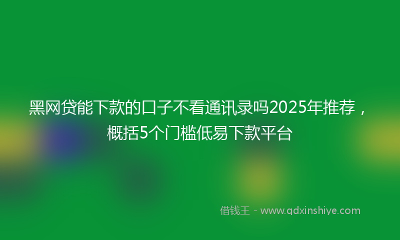 黑网贷能下款的口子不看通讯录吗2025年推荐，概括5个门槛低易下款平台