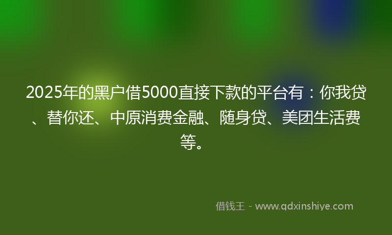 2025年的黑户借5000直接下款的平台有：你我贷、替你还、中原消费金融、随身贷、美团生活费等。