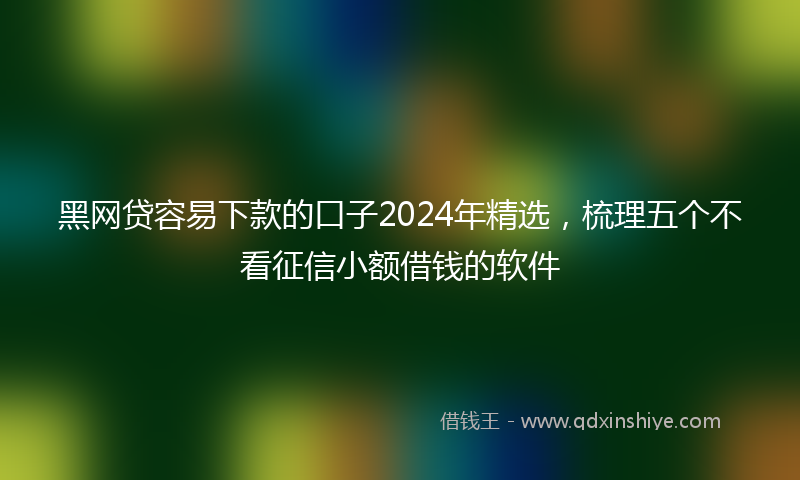 黑网贷容易下款的口子2024年精选，梳理五个不看征信小额借钱的软件