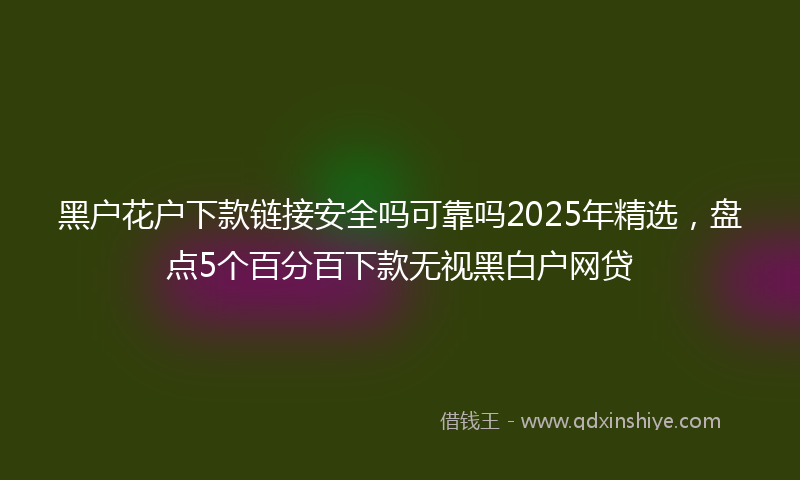 黑户花户下款链接安全吗可靠吗2025年精选，盘点5个百分百下款无视黑白户网贷