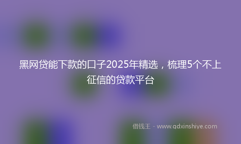黑网贷能下款的口子2025年精选，梳理5个不上征信的贷款平台