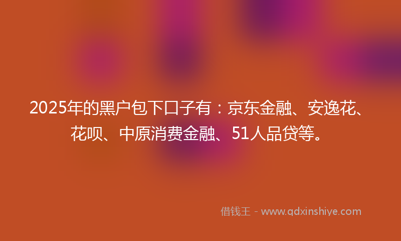 2025年的黑户包下口子有：京东金融、安逸花、花呗、中原消费金融、51人品贷等。