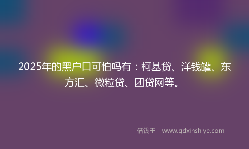 2025年的黑户口可怕吗有：柯基贷、洋钱罐、东方汇、微粒贷、团贷网等。
