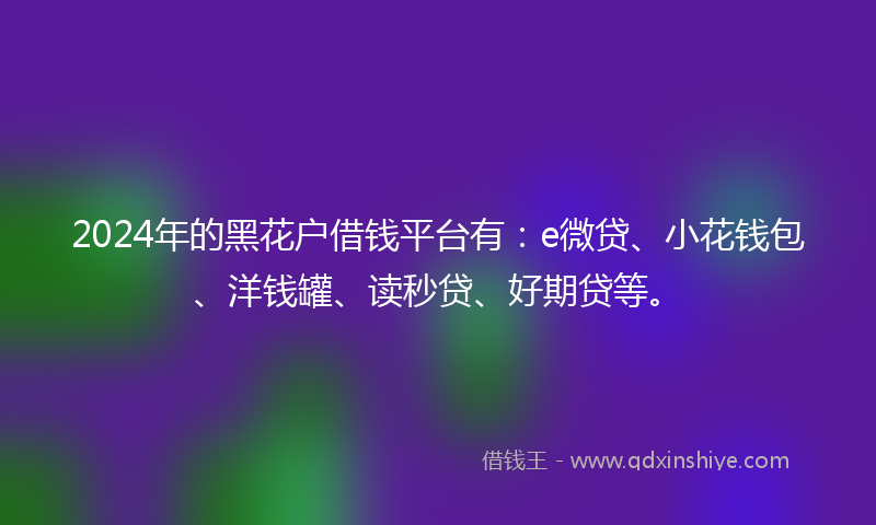 2024年的黑花户借钱平台有：e微贷、小花钱包、洋钱罐、读秒贷、好期贷等。