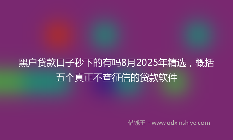黑户贷款口子秒下的有吗8月2025年精选，概括五个真正不查征信的贷款软件