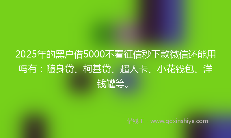 2025年的黑户借5000不看征信秒下款微信还能用吗有：随身贷、柯基贷、超人卡、小花钱包、洋钱罐等。