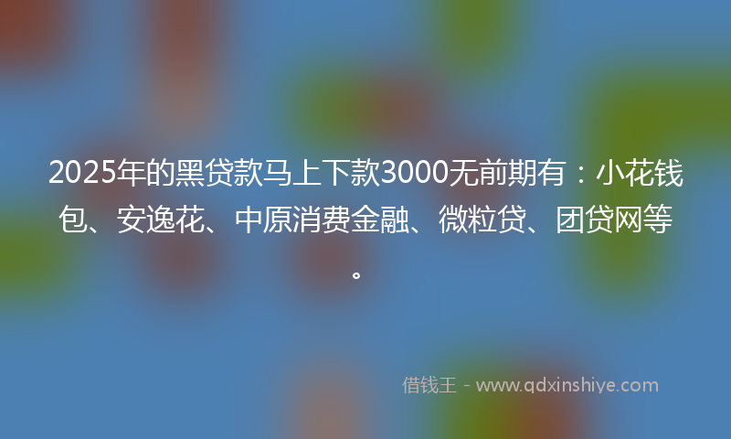 2025年的黑贷款马上下款3000无前期有：小花钱包、安逸花、中原消费金融、微粒贷、团贷网等。