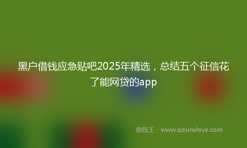 黑户借钱应急贴吧2025年精选，总结五个征信花了能网贷的app