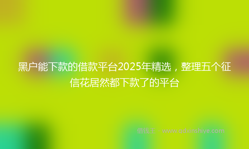 黑户能下款的借款平台2025年精选，整理五个征信花居然都下款了的平台