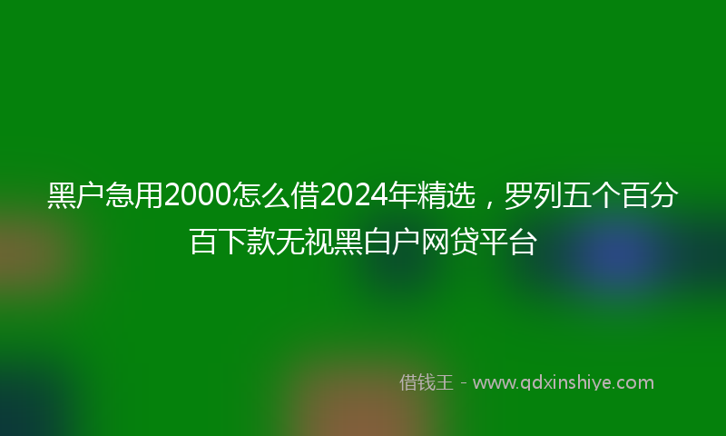 黑户急用2000怎么借2024年精选，罗列五个百分百下款无视黑白户网贷平台