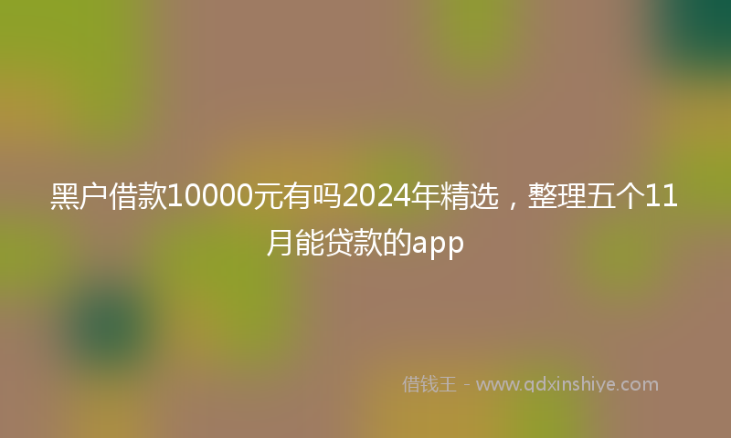 黑户借款10000元有吗2024年精选，整理五个11月能贷款的app