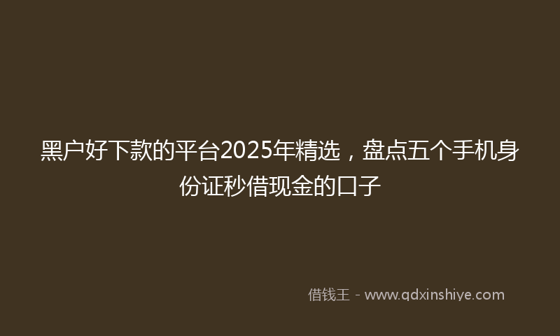 黑户好下款的平台2025年精选，盘点五个手机身份证秒借现金的口子