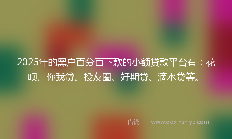 2025年的黑户百分百下款的小额贷款平台有：花呗、你我贷、投友圈、好期贷、滴水贷等。