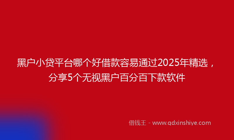 黑户小贷平台哪个好借款容易通过2025年精选，分享5个无视黑户百分百下款软件