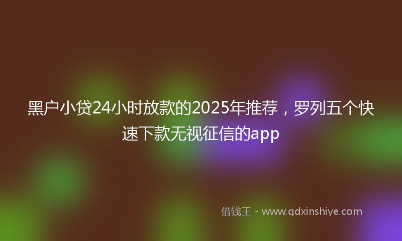 黑户小贷24小时放款的2025年推荐，罗列五个快速下款无视征信的app