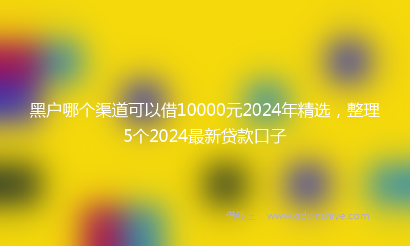黑户哪个渠道可以借10000元2024年精选，整理5个2024最新贷款口子
