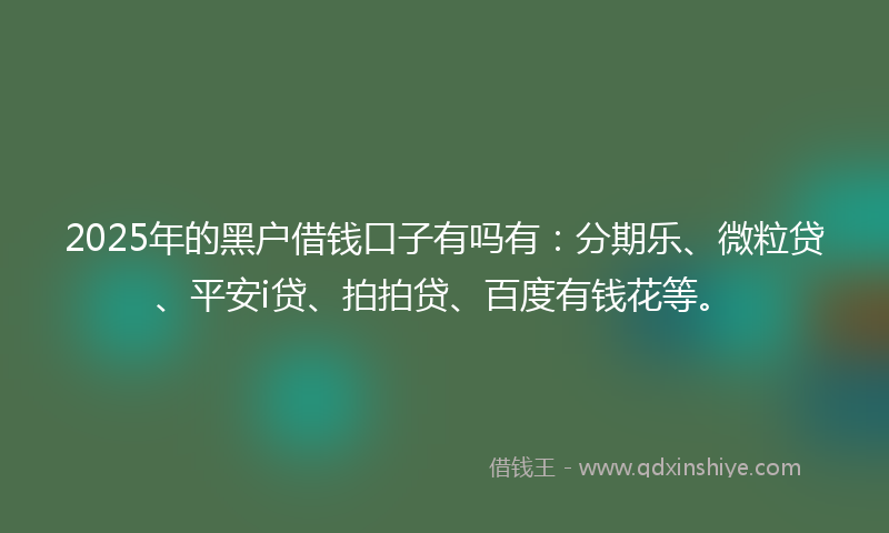 2025年的黑户借钱口子有吗有：分期乐、微粒贷、平安i贷、拍拍贷、百度有钱花等。