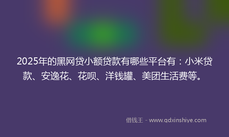 2025年的黑网贷小额贷款有哪些平台有：小米贷款、安逸花、花呗、洋钱罐、美团生活费等。