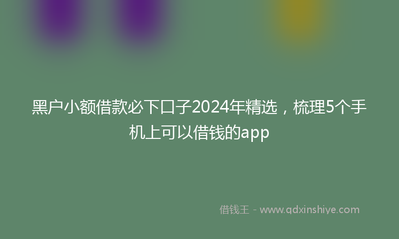 黑户小额借款必下口子2024年精选，梳理5个手机上可以借钱的app