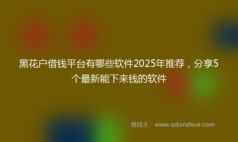 黑花户借钱平台有哪些软件2025年推荐，分享5个最新能下来钱的软件