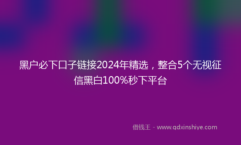 黑户必下口子链接2024年精选，整合5个无视征信黑白100%秒下平台