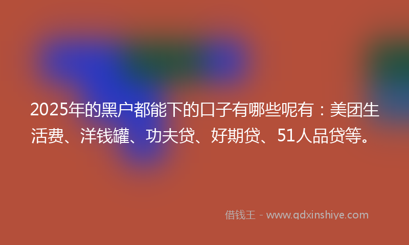 2025年的黑户都能下的口子有哪些呢有：美团生活费、洋钱罐、功夫贷、好期贷、51人品贷等。