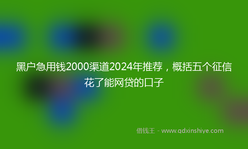 黑户急用钱2000渠道2024年推荐，概括五个征信花了能网贷的口子