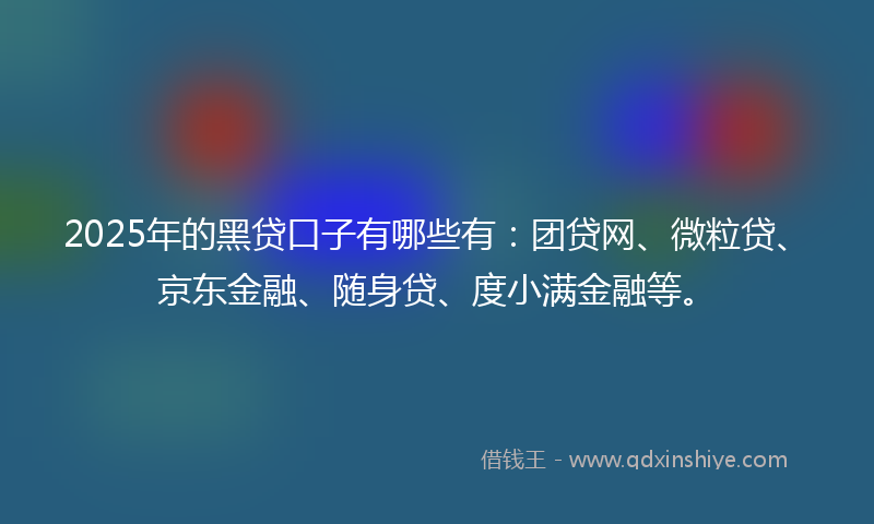 2025年的黑贷口子有哪些有：团贷网、微粒贷、京东金融、随身贷、度小满金融等。