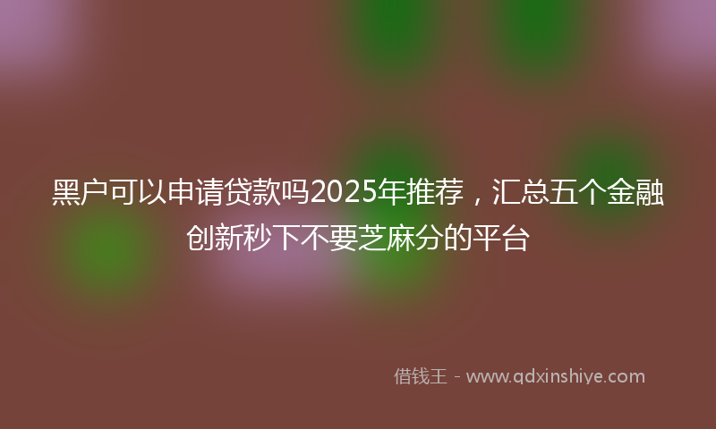 黑户可以申请贷款吗2025年推荐，汇总五个金融创新秒下不要芝麻分的平台