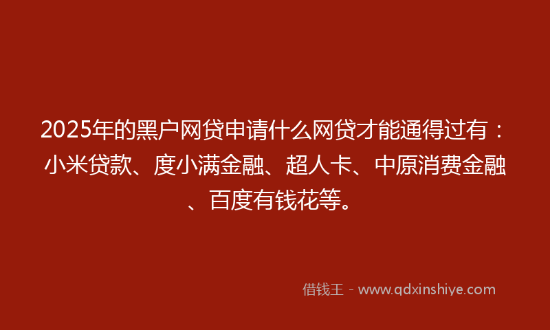 2025年的黑户网贷申请什么网贷才能通得过有：小米贷款、度小满金融、超人卡、中原消费金融、百度有钱花等。