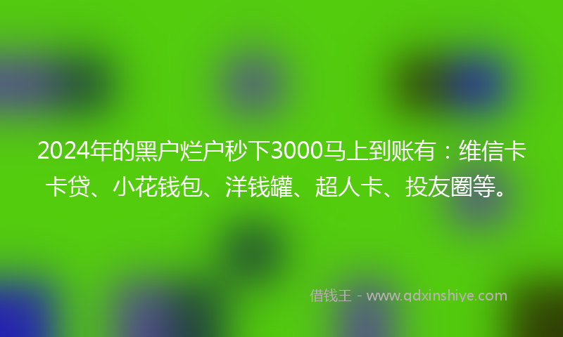 2024年的黑户烂户秒下3000马上到账有：维信卡卡贷、小花钱包、洋钱罐、超人卡、投友圈等。