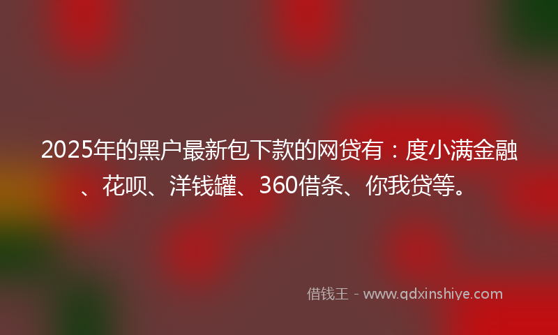 2025年的黑户最新包下款的网贷有：度小满金融、花呗、洋钱罐、360借条、你我贷等。
