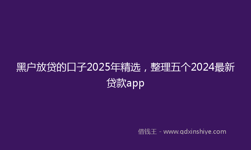 黑户放贷的口子2025年精选，整理五个2024最新贷款app