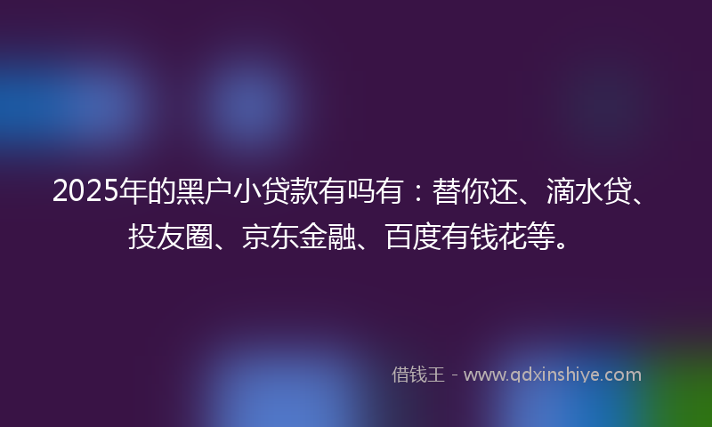2025年的黑户小贷款有吗有：替你还、滴水贷、投友圈、京东金融、百度有钱花等。