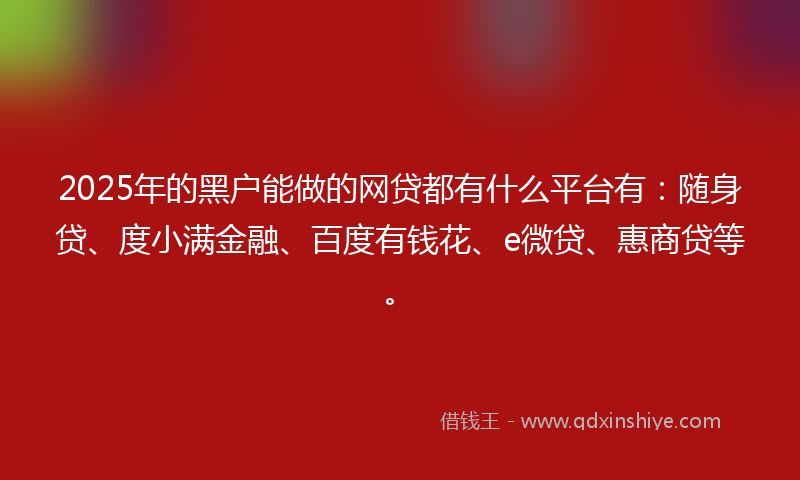2025年的黑户能做的网贷都有什么平台有：随身贷、度小满金融、百度有钱花、e微贷、惠商贷等。