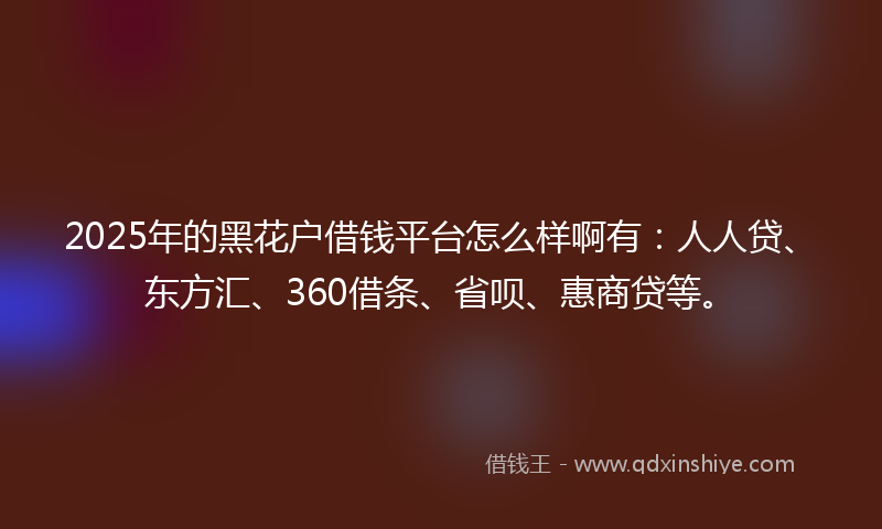 2025年的黑花户借钱平台怎么样啊有：人人贷、东方汇、360借条、省呗、惠商贷等。